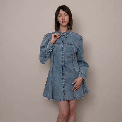 Mindy Stretch Denim Shirt Dress